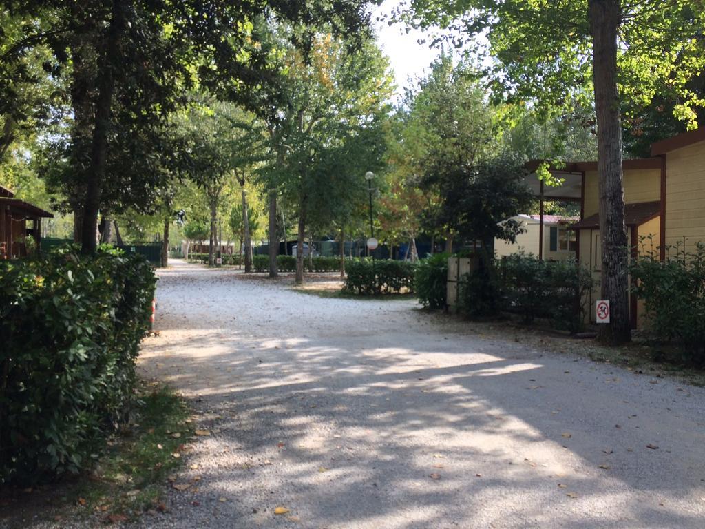 Campeggio Boscoverde Torre del Lago Puccini Dış mekan fotoğraf
