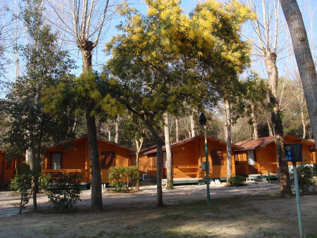 Campeggio Boscoverde Torre del Lago Puccini Dış mekan fotoğraf