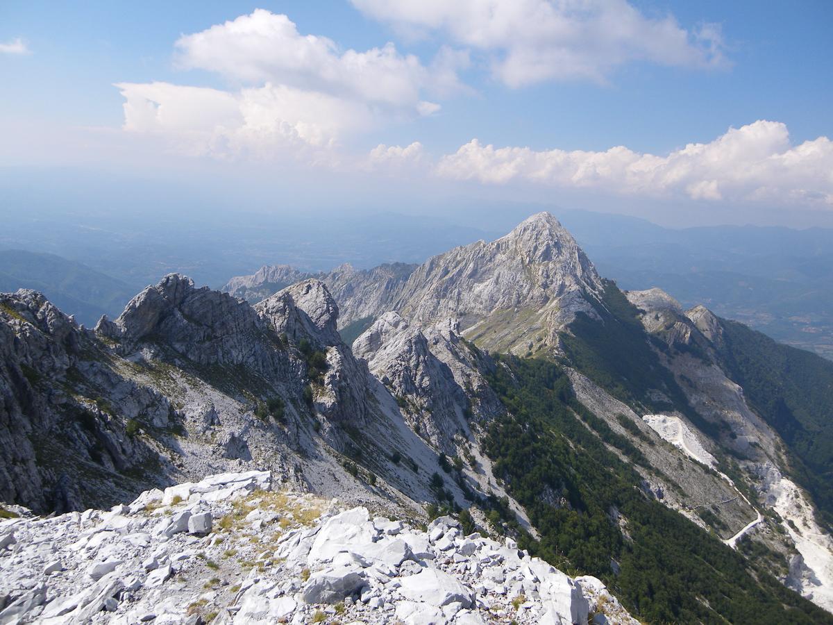 Campeggio Boscoverde Torre del Lago Puccini Dış mekan fotoğraf