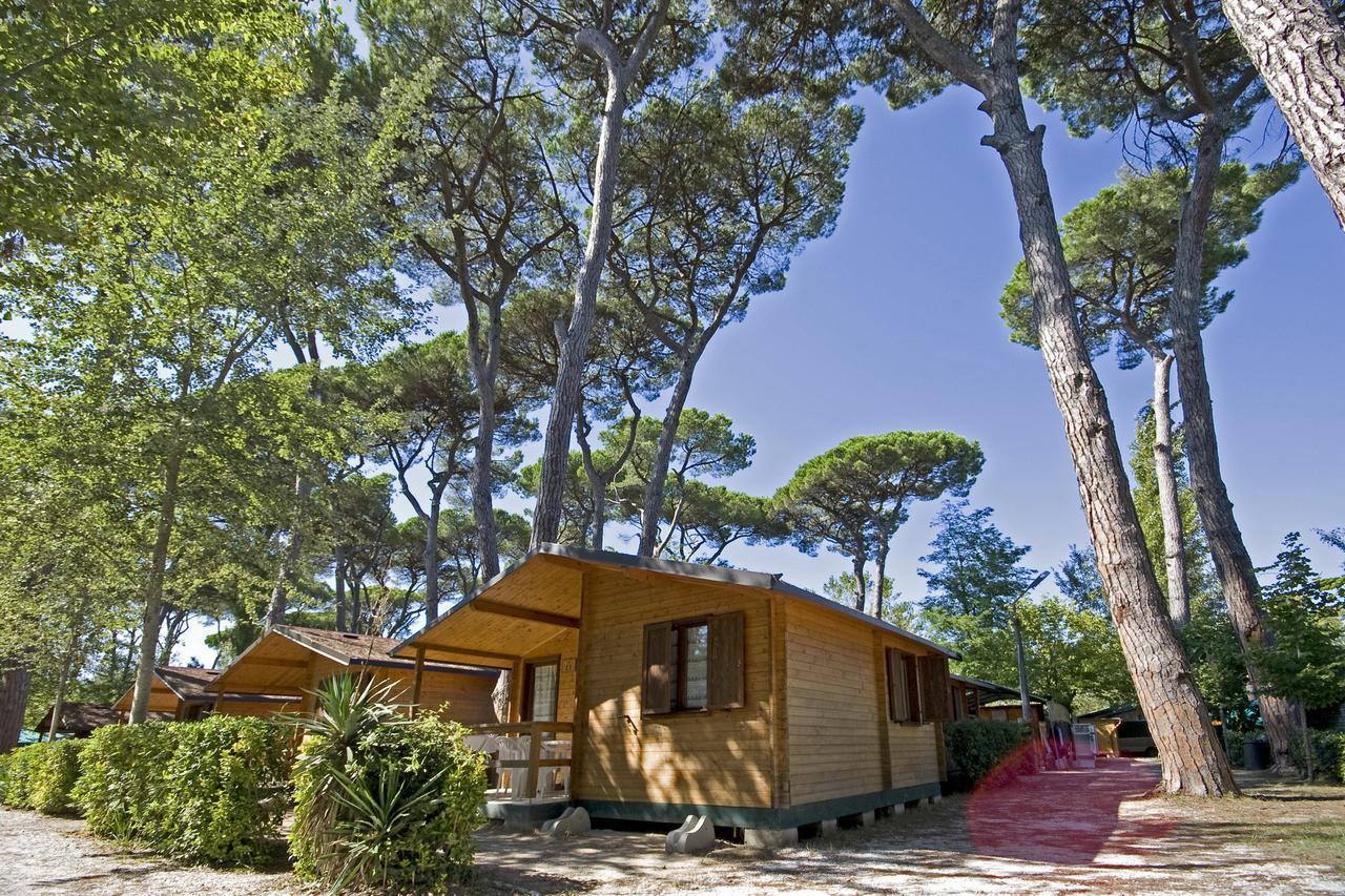 Campeggio Boscoverde Torre del Lago Puccini Dış mekan fotoğraf