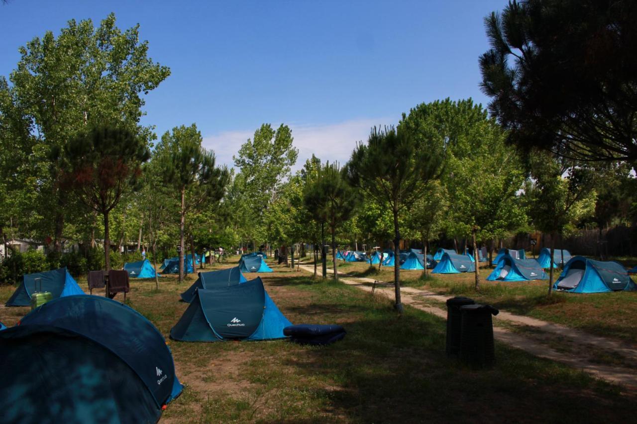 Campeggio Boscoverde Torre del Lago Puccini Dış mekan fotoğraf